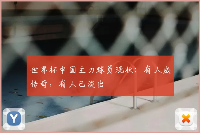 世界杯中国主力球员现状:有人成传奇,有人已淡出