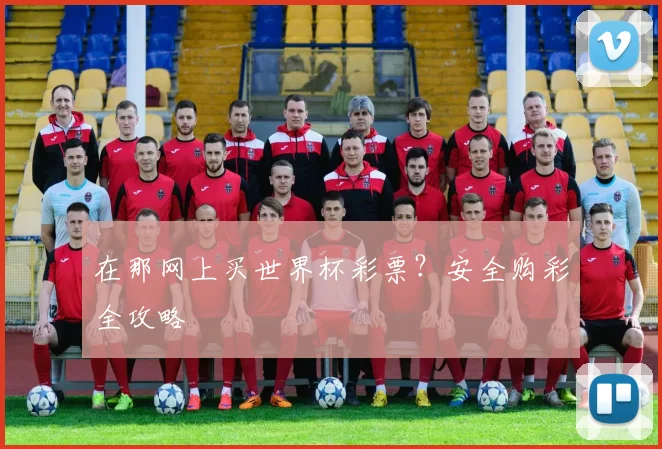 在那网上买世界杯彩票？安全购彩全攻略