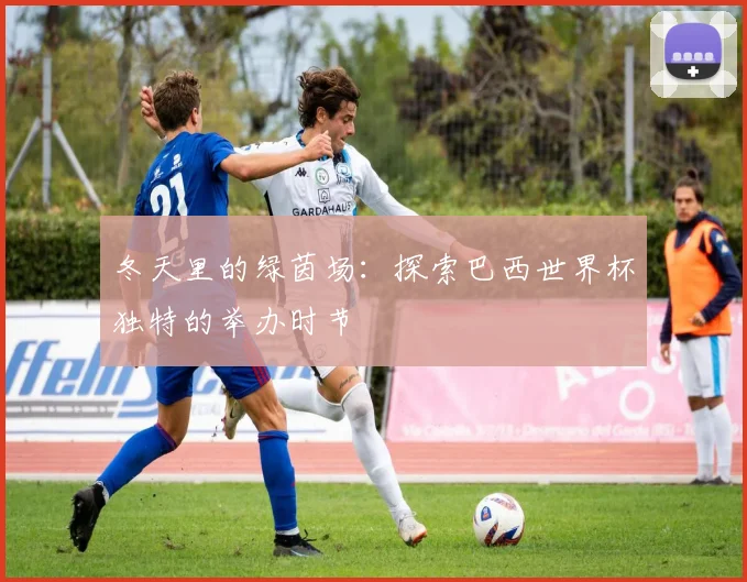 冬天里的绿茵场：探索巴西世界杯独特的举办时节